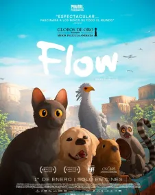 Flow 20250429120144 5538